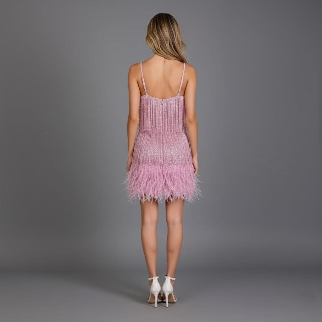 Birdie Fringe Feather Hem Mini Party Dress
