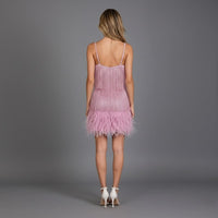 Birdie Fringe Feather Hem Mini Party Dress