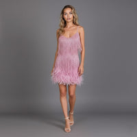 Birdie Fringe Feather Hem Mini Party Dress