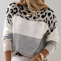 Elowen Leopard Print Color Block Knitted Jumper
